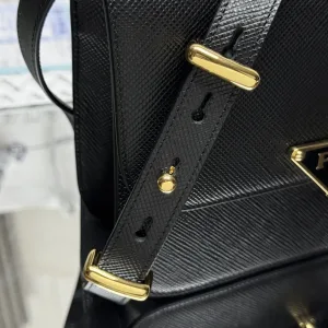 Prada Triangle Camera Bag Small Black Gold Hardware