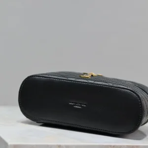 Saint Laurent Vanity Camera Bag Small Black Gold Hardware Exact Size Unknown 029